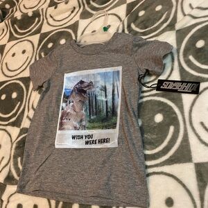 Boys dinosaur shirt